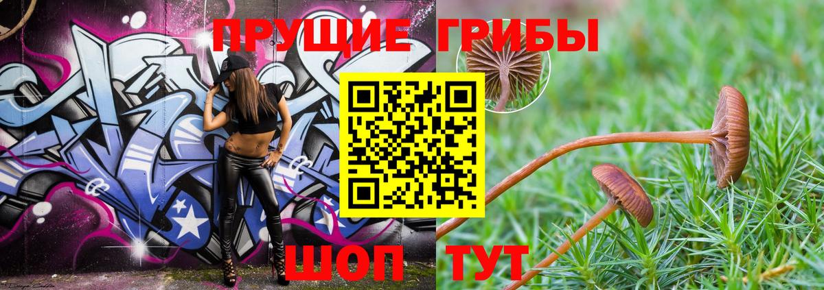 Галлюциногенные грибы Cubensis Ливны